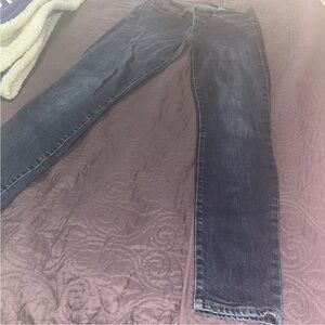 Gap 1969 Ladies Jeans 28r X 29